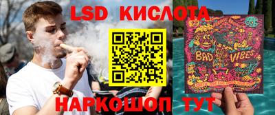 прущие грибы Партизанск