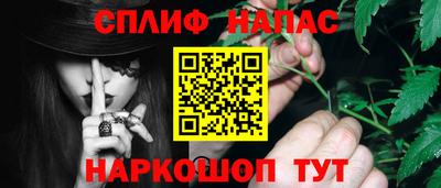 СК Пенза