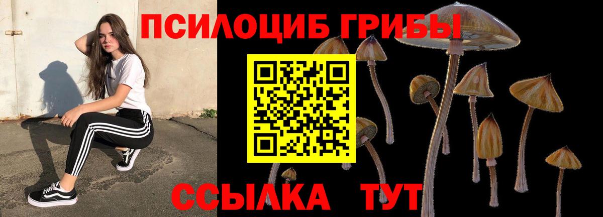 Псилоцибиновые грибы GOLDEN TEACHER  Галлюциногенные грибы Cubensis  Вход с VPN  Тихорецк 
